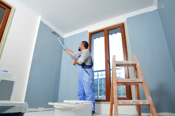 Best Black Mold Removal  in North Bend, WA