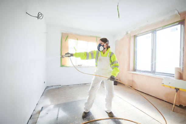 Best Basement Mold Removal  in North Bend, WA